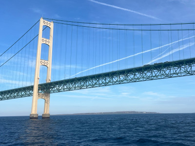 Under The Bridge!